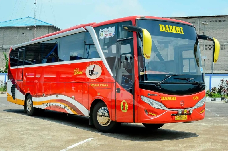 DAMRI Bus